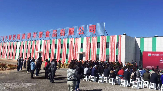 青島建華接下額爾敦公司班產(chǎn)100頭牛，3000只羊的屠宰流水線(xiàn)